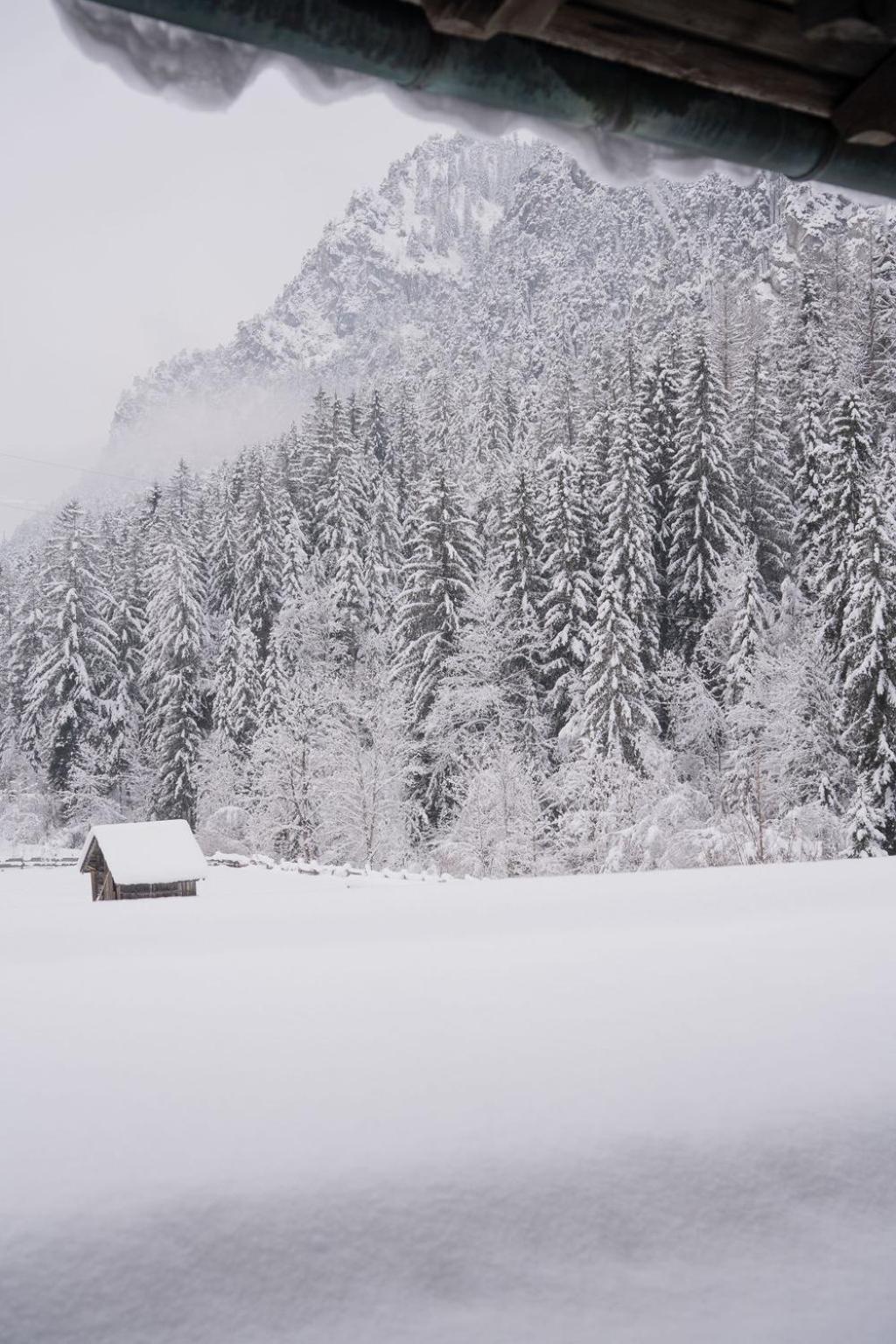 Fruehstueckspension Auer - Haus Kargl Шладмінг Екстер'єр фото